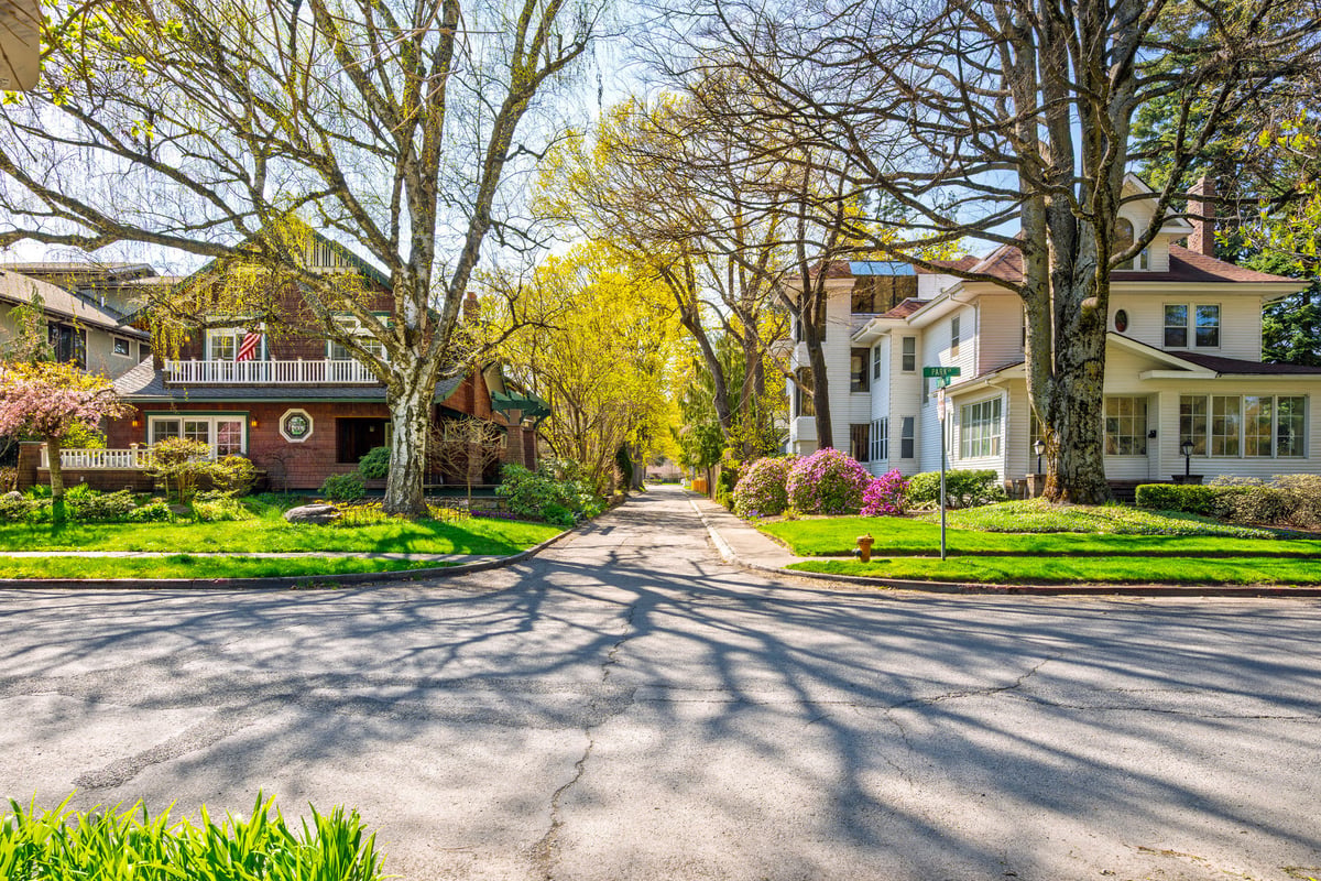 A tree-lined residential street in spring with historic homes along the sidewalk